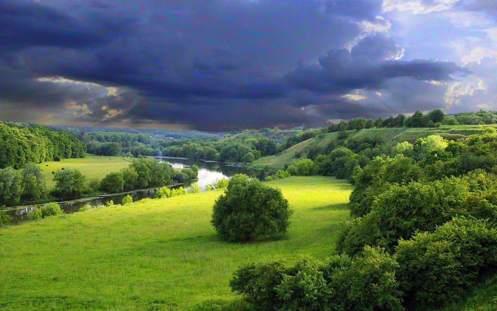 Lorem ipsum dolor sit amet, consectetur adipisicing elit. 